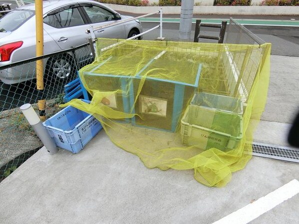 CHELSEA日野の物件内観写真